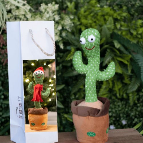 Marius le Cactus™| Peluche d'éveil